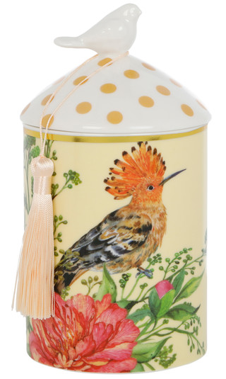 Thumbnail 2: BIG BOX RETAILER Big Box Retailer Mango Papaya Ceramic Jar Soy Candle, 16 oz 