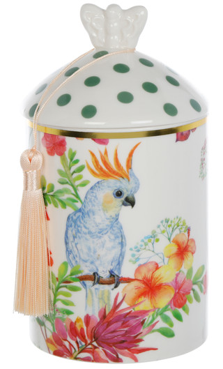 Thumbnail 2: BIG BOX RETAILER Big Box Retailer Citrus Sunset Ceramic Jar Soy Candle, 16 oz 