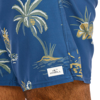 Thumbnail 3: O'Neill O'Neill Mens Blue Hermosa Swim Shorts 