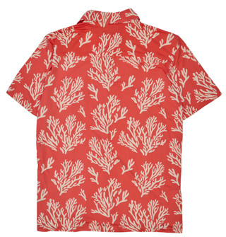 Thumbnail 2: MARGARITAVILLE Men's Short Sleeve Button Down Shirt 