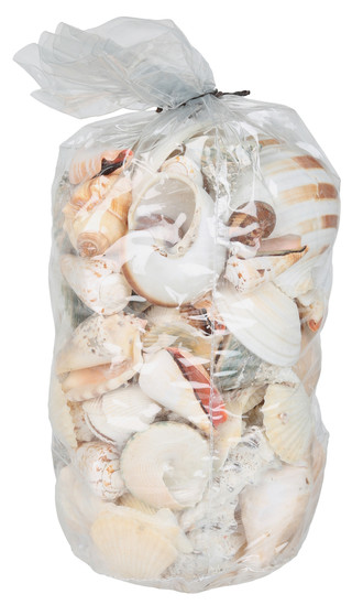 Thumbnail 2: Contrast 10x6 Sea Shell Home Accent Bag 