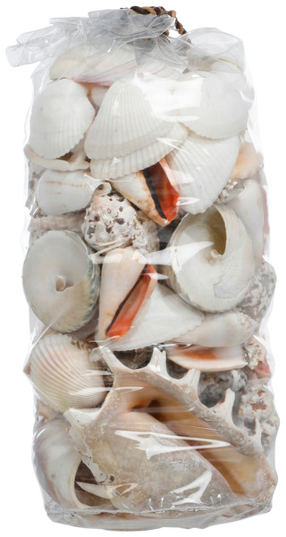 Thumbnail 2: Contrast 10x5 Bag of Shells 