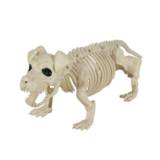 Thumbnail 1: Magical Season 20 in Puppy Skeleton Bonez Halloween Home Accent 
