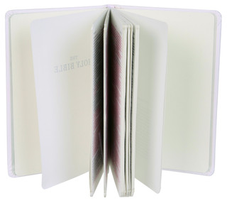 Thumbnail 3: SECONDARY Baby's First Bible - New Testament 