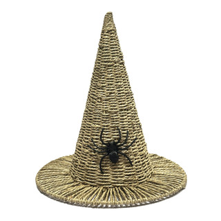 Thumbnail 1: Magical Season 15 in Witch Hat Spider Halloween Home Accent 