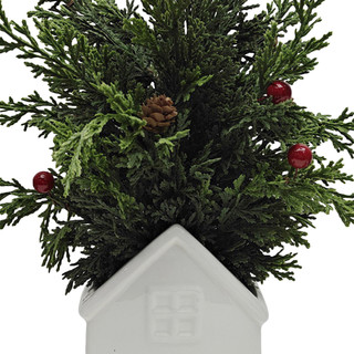 Thumbnail 2: Magical Season 17 In Mini Cedar Christmas Tree in Ceramic House Planter 