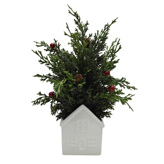 Thumbnail 3: Magical Season 17 In Mini Cedar Christmas Tree in Ceramic House Planter 