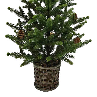 Thumbnail 3: Magical Season 24 in Christmas Tree in Woven Pot 