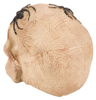 Thumbnail 2: 6 in Resin Woodgrain-Look Spidery Skull Halloween Decor 