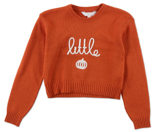 Thumbnail 1: Magical Season Girls Little Harvest Knit Long Sleeve Sweater 