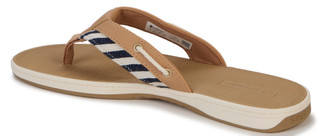 Thumbnail 2: Sperry Women's Seal Fish Flip Flops  