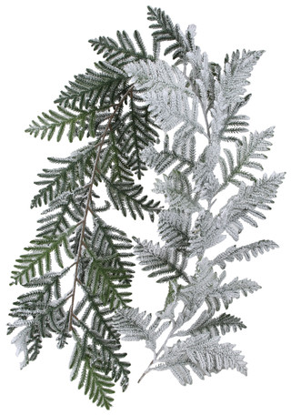Thumbnail 1: . 72 in Snowy Pine Christmas Garland 