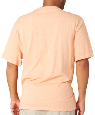 Thumbnail 2: REEL LEGENDS Mens Performance Pineland V Neck Short Sleeve Shirt 
