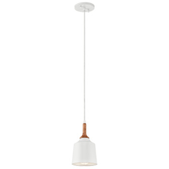 Danika One Light Mini Pendant in White (12|43682WH)