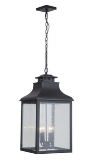 Drake Four Light Outdoor Hanging Lantern in Black (90|313212)