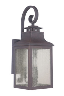 Drake Two Light Outdoor Wall Lantern in Bronze (90|408177)