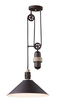 Tucson One Light Pendant in Oil Rubbed Bronze / Weathered Wood (16|10090OIWWD)