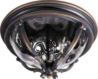 Camden VX Three Light Outdoor Ceiling Mount in Golden Bronze (16|41420WGGO)