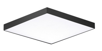 Trim LED Flush Mount in Black (16|57667WTBK)