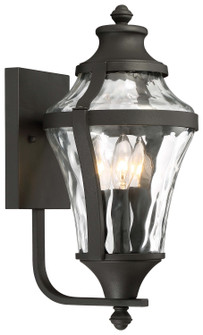 Libre Three Light Outdoor Wall Lamp in Coal (7|72562-66)