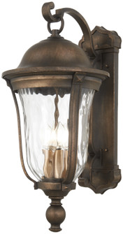 Havenwood Four Light Outdoor Wall Mount in Tauira Bronze And Alder Silver (7|73244-748)