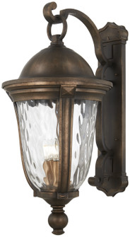 Havenwood Five Light Outdoor Wall Mount in Tauira Bronze And Alder Silver (7|73245-748)