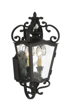 Brixton Ivy Two Light Outdoor Lantern in Coal W/Honey Gold Highlight (7|9332-661)
