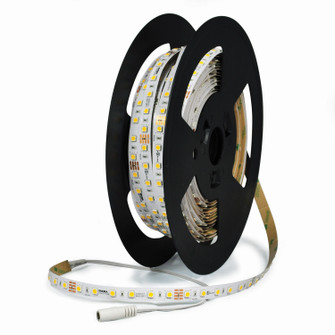 Sl LED Tape Light LED Tape Light in White (167|NUTP81-W100LED927)