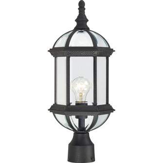 Boxwood One Light Post Lantern in Textured Black (72|60-4976)