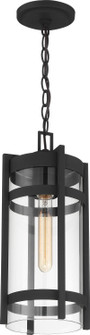 Tofino One Light Hanging Lantern in Textured Black / Clear Glass (72|60-6574)