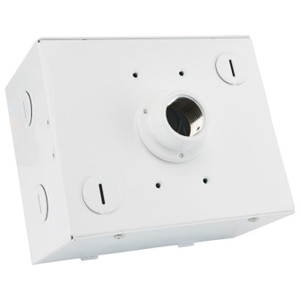 Pendant Adapter in White (72|65-759)