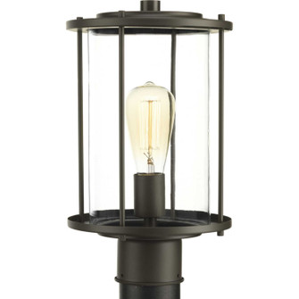 Gunther One Light Post Lantern in Antique Bronze (54|P540020-020)