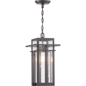 Boxwood One Light Hanging Lantern in Antique Bronze (54|P550039-020)