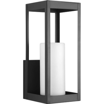 Patewood One Light Wall Lantern in Black (54|P560041-031)