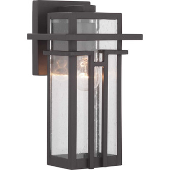 Boxwood One Light Wall Lantern in Antique Bronze (54|P560110-020)