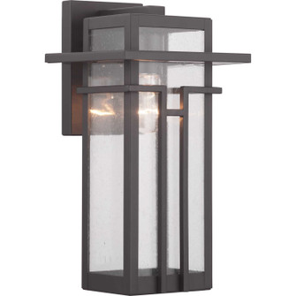 Boxwood One Light Wall Lantern in Antique Bronze (54|P560111-020)