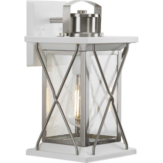 Barlowe One Light Wall Lantern in Stainless Steel (54|P560156-135)