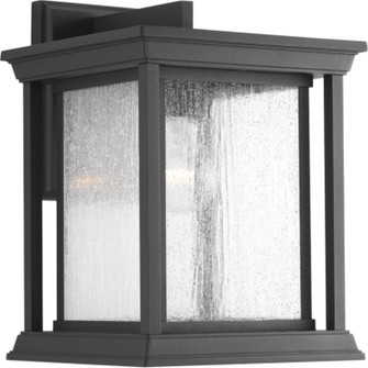 Endicott One Light Wall Lantern in Textured Black (54|P5611-31)