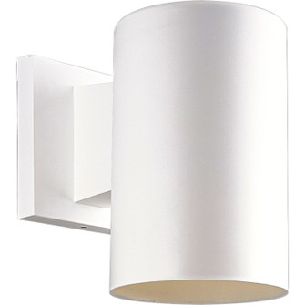 Cylinder One Light Outdoor Wall Lantern in White (54|P5712-30)