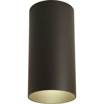 Cylinder One Light Outdoor Ceiling Mount in Antique Bronze (54|P5741-20)