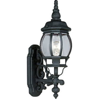 Onion Lantern One Light Wall Lantern in Textured Black (54|P5878-31)