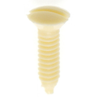 Switchplate Screw in Ivory (230|90-539)