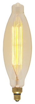 Light Bulb (230|S2431)