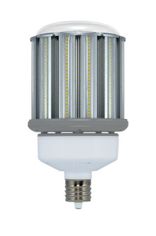 Light Bulb in Clear (230|S28717)
