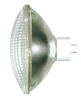 Light Bulb in Clear (230|S4349)