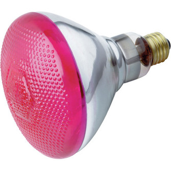 Light Bulb in Pink (230|S4429)
