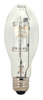 Light Bulb in Clear (230|S5856)