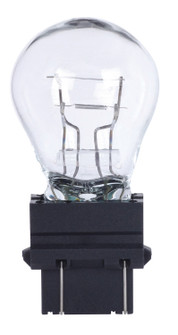 Light Bulb in Clear (230|S7118)