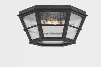Lake County Two Light Flush Mount in French Iron (67|C2514-FRN)