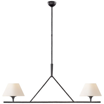 Cesta Two Light Chandelier in Aged Iron (268|S 5405AI-L)